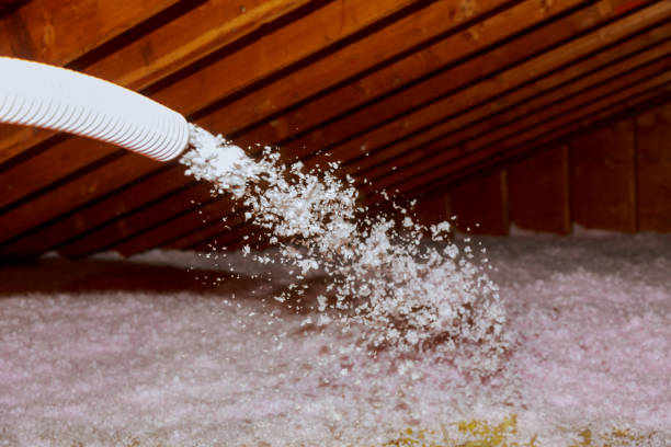Best Insulation for Commercial Buildings  in Fredonia, NY
