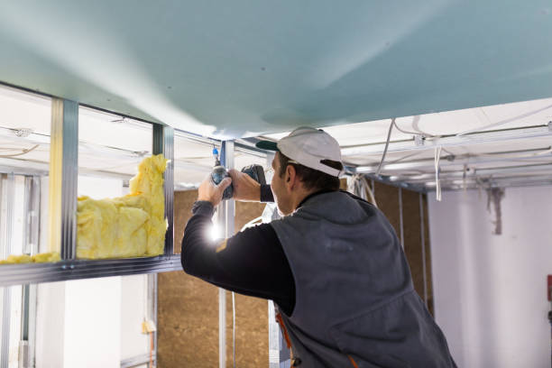 Best Insulation Repair Services  in Fredonia, NY