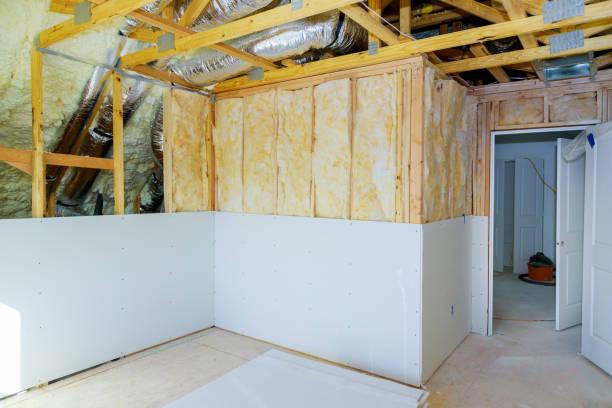 Best Professional Insulation Contractor  in Fredonia, NY