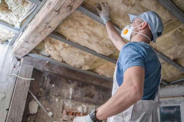 Best Insulation Contractors for Homes  in Fredonia, NY