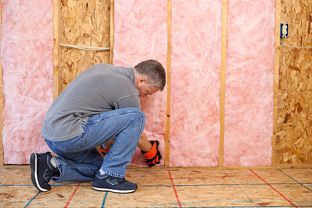 Best Wall Insulation Contractor  in Fredonia, NY