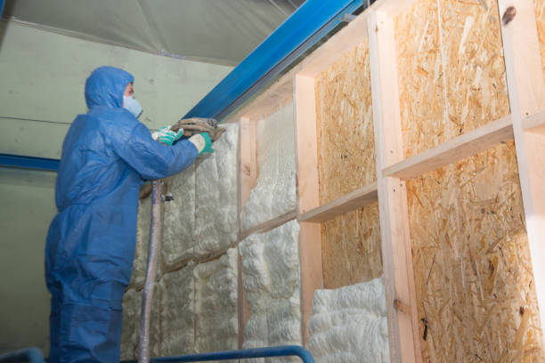 Best Spray Foam Insulation  in Fredonia, NY